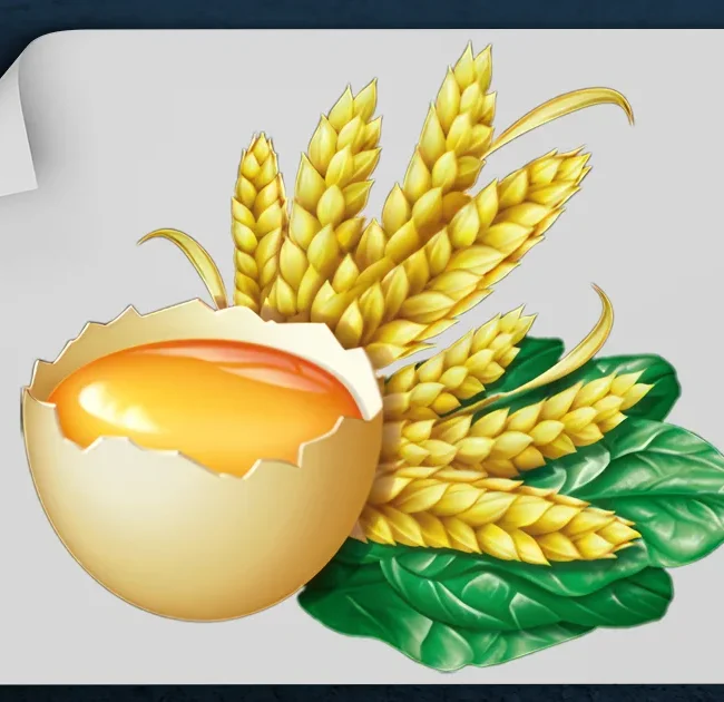 Concept illustrativo per confezione di pasta all’uovo: l’uovo aperto con tuorlo si integra con elementi naturali come spighe di grano e una foglia di spinaci, creando un’immagine fresca e appetitosa.